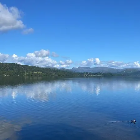 In Windermere, The District